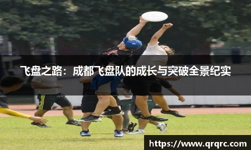 快盈VIII