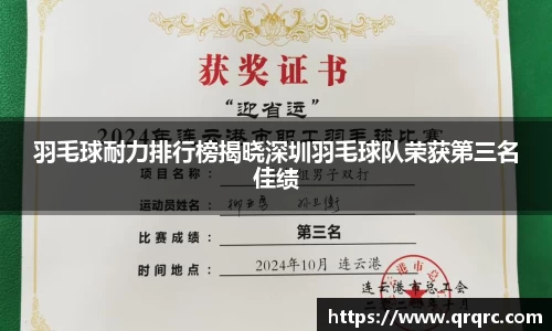 羽毛球耐力排行榜揭晓深圳羽毛球队荣获第三名佳绩
