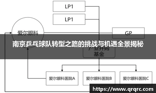 南京乒乓球队转型之路的挑战与机遇全景揭秘
