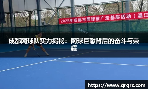 快盈VIII