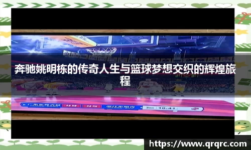 快盈VIII